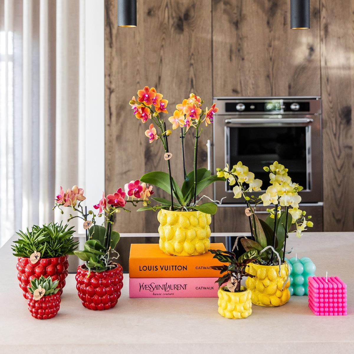 Übertopf „Beere“  – 12 cm