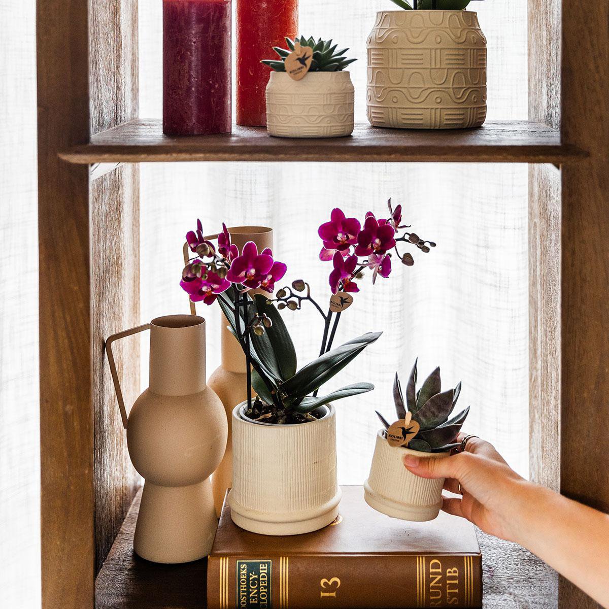 Übertopf Bali– gebrochenes Weiß – Ø6 cm