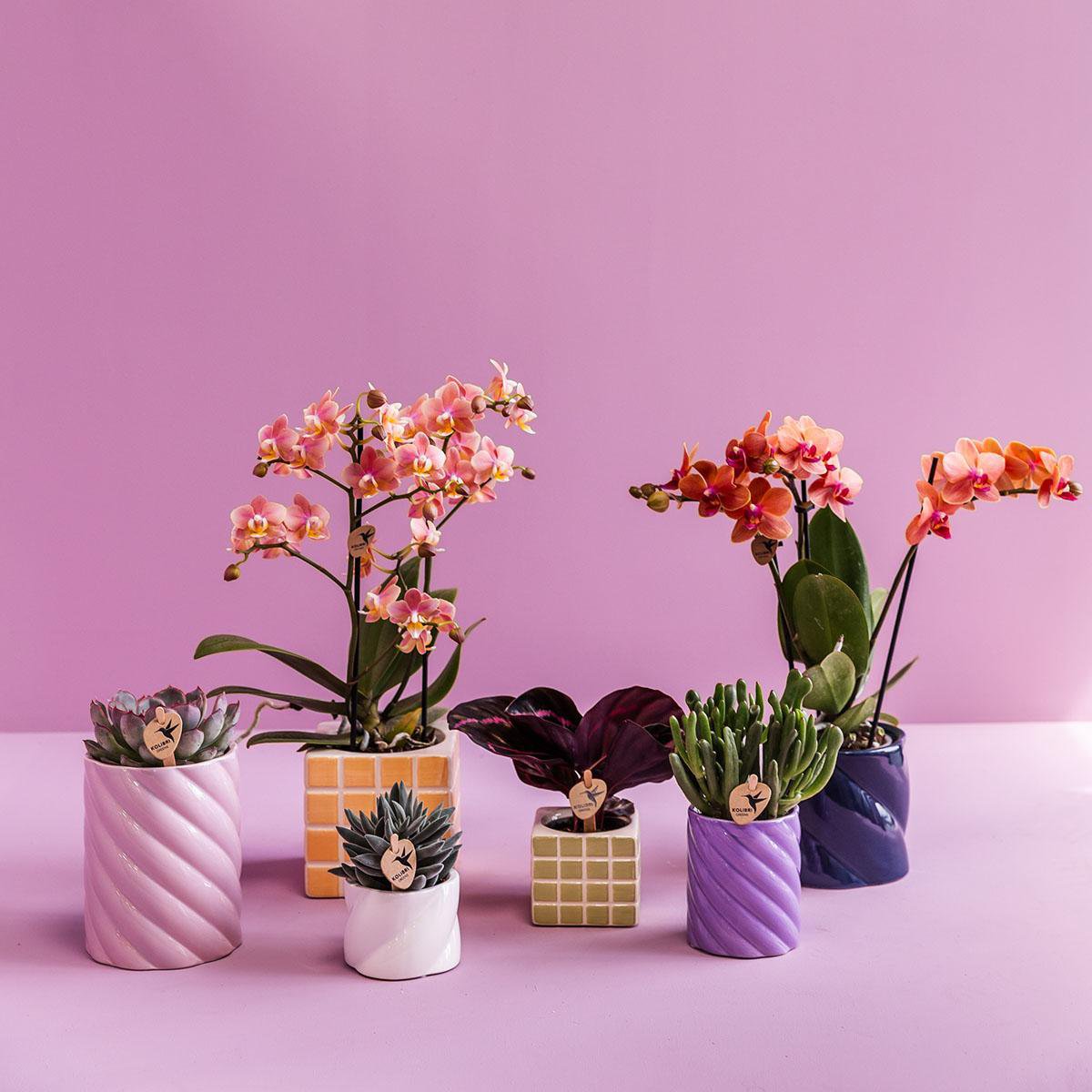 Übertopf „Mosa“ - Orange - Ø9cm