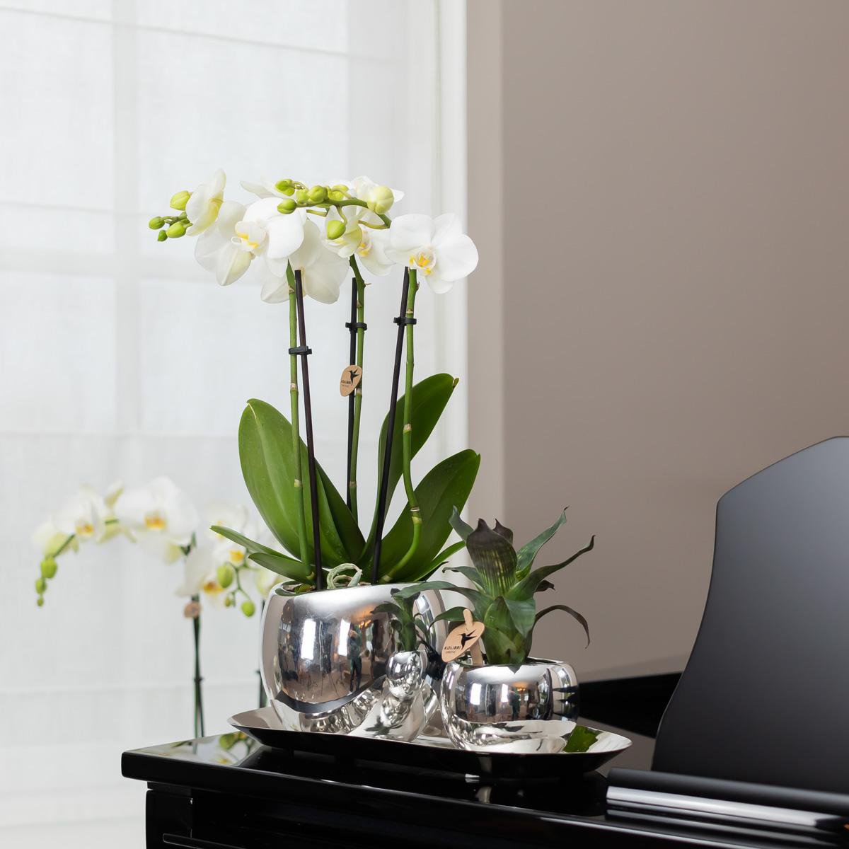 Teller oval - Ovale dienblad Ø30cm - Silber