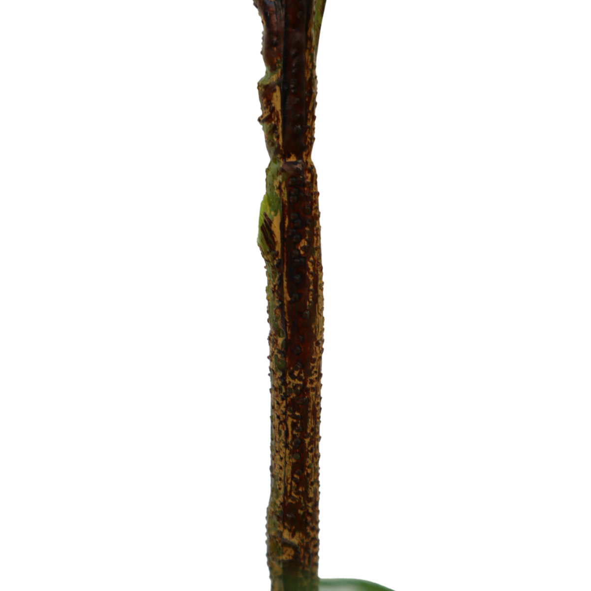 Aralie Kunstpflanze 100cm