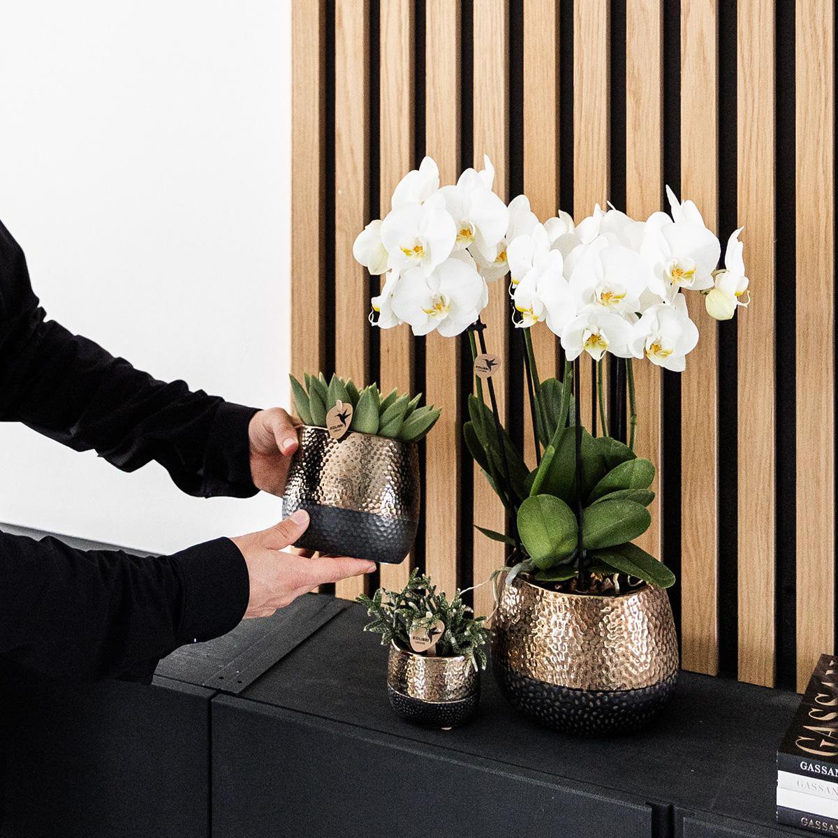 Übertopf aus Kupfer – Ø9cm