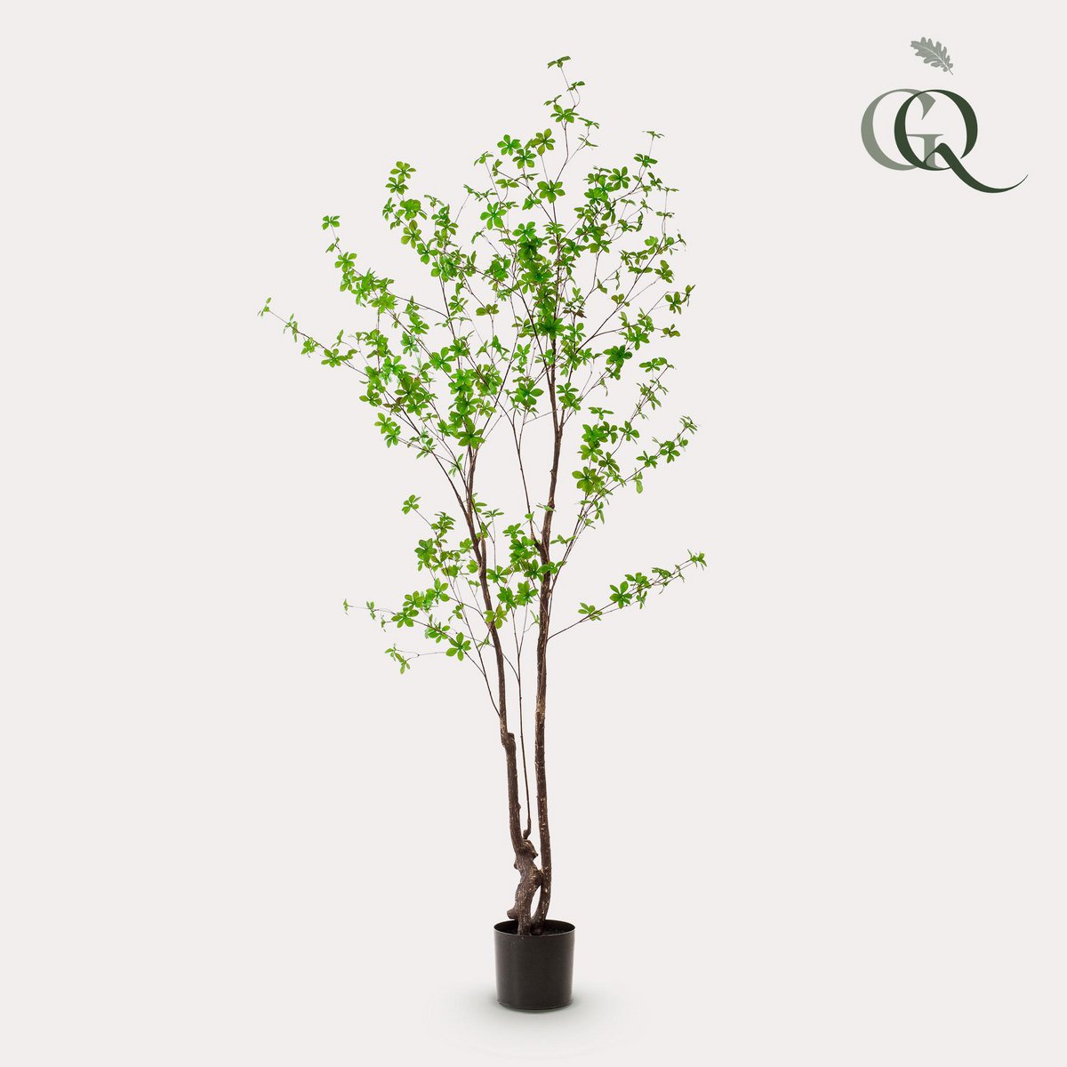 Kunstblumen - Ostindischen Kirsche
- 210 cm