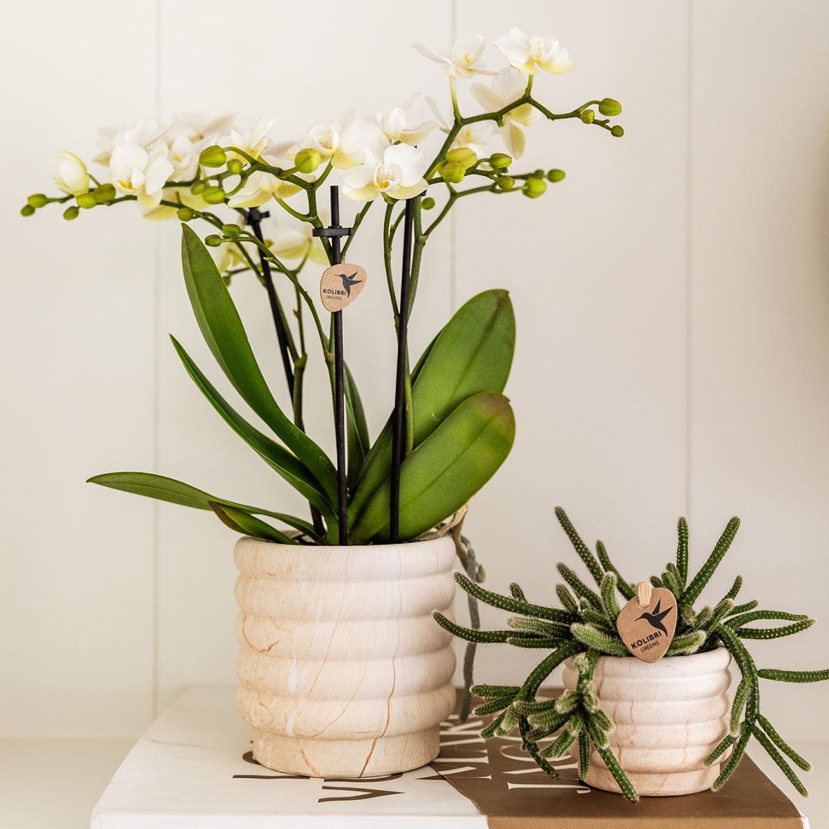 Marmortopf - Hell - Ø9cm