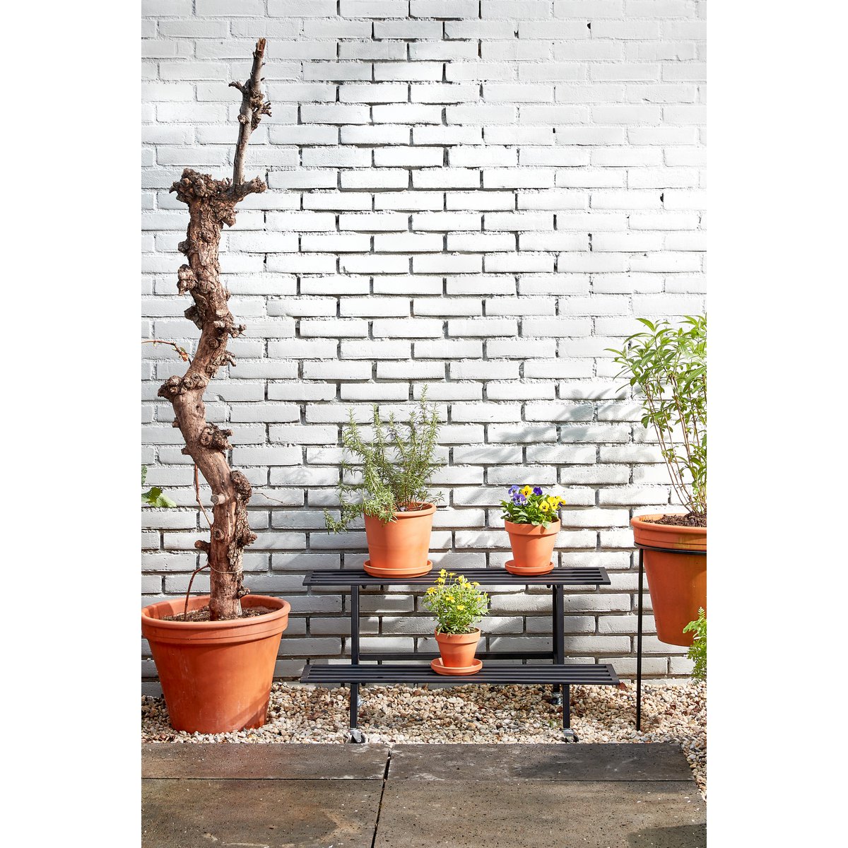 Greenrax Pflanzentisch – L90 x B44 x H42 cm – Metall – Schwarz