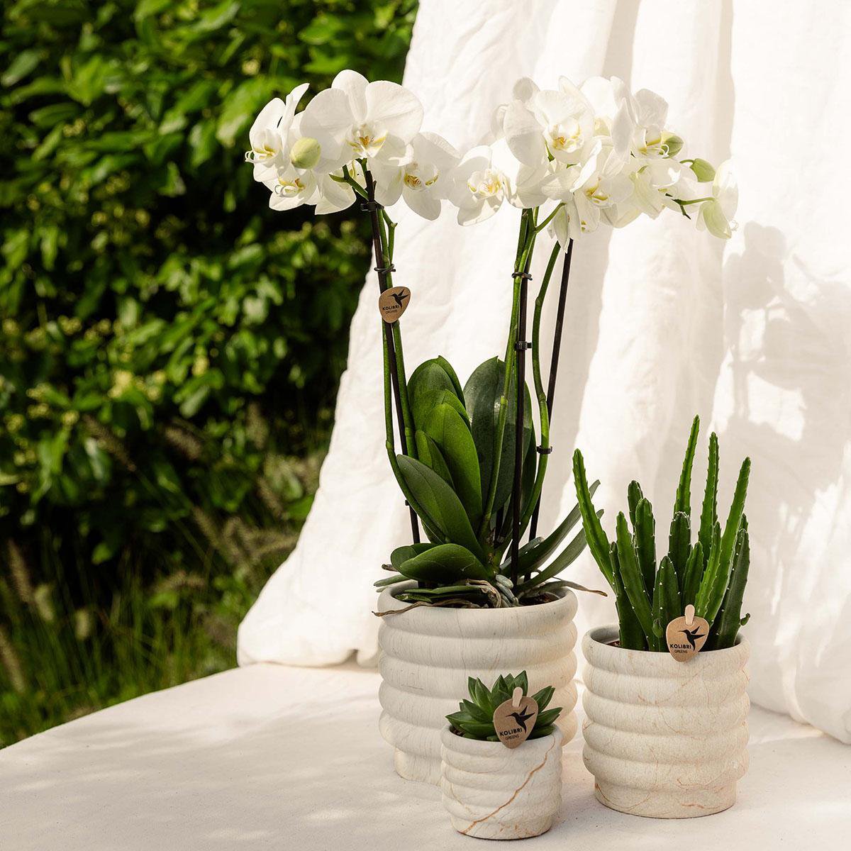 Marmortopf - Hell - Ø12cm