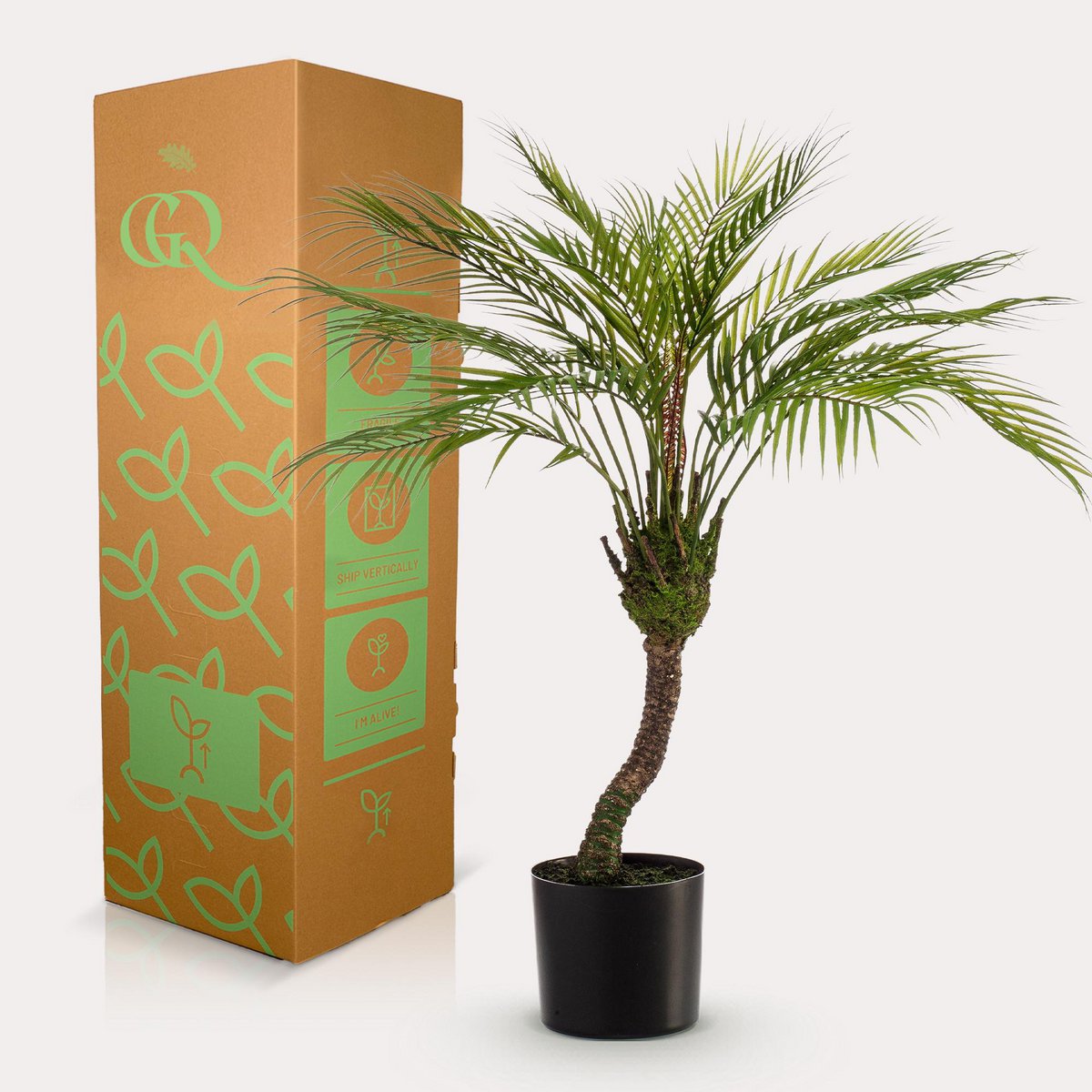 Kunstpflanze - Chamaedorea - Bergpalm - 85 cm