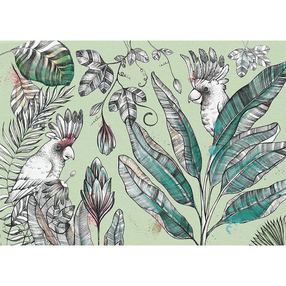 Postkarten – 5er-Set – Dschungel