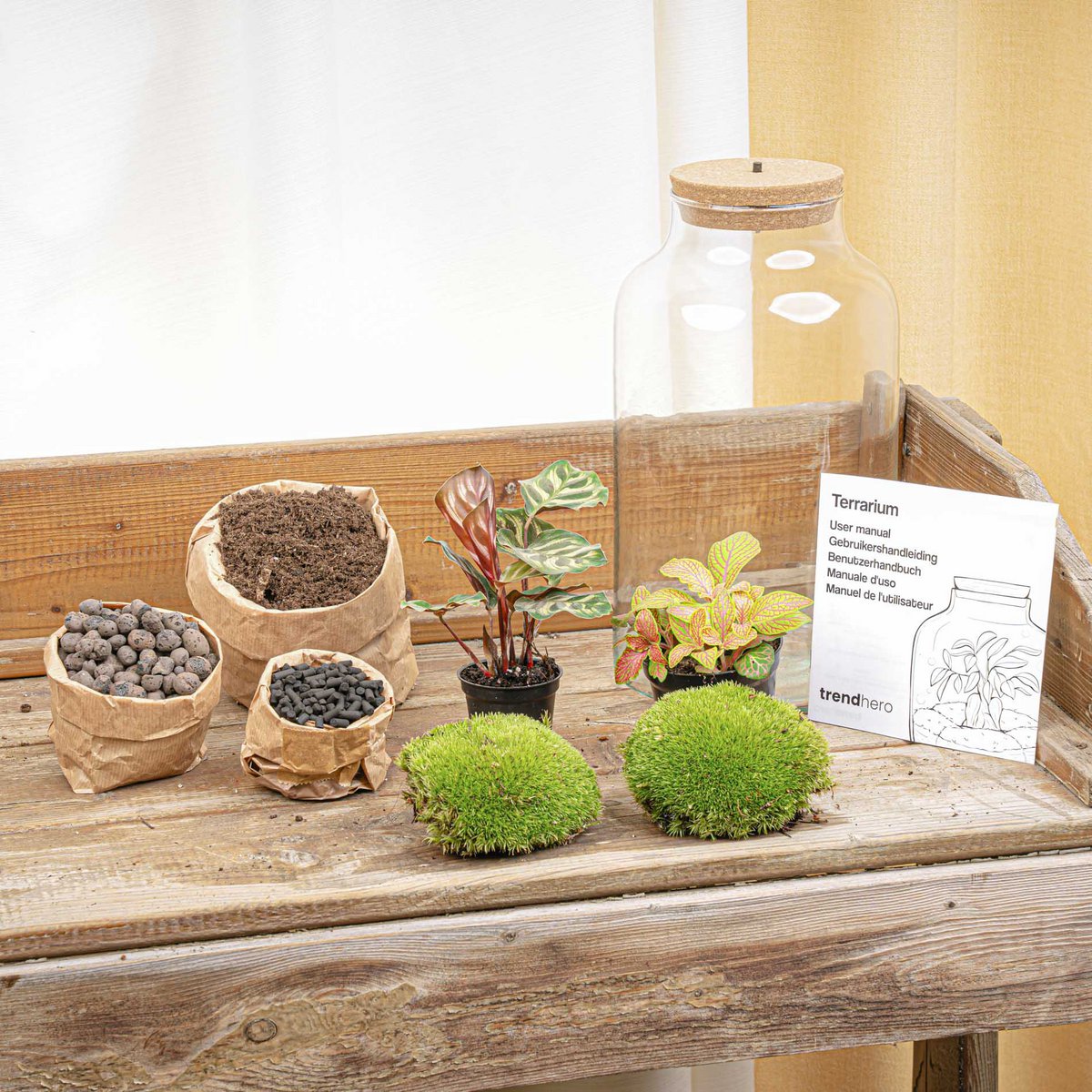 Terrarium-Bausatz – Milchige Calathea mit Licht – Flaschengarten – ↑ 31 cm