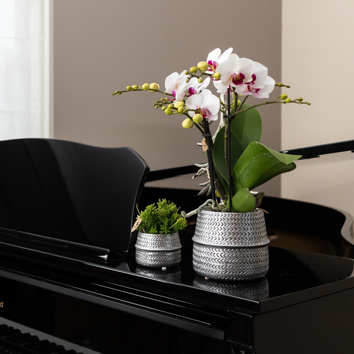 Übertopf „Groove“ Blumentopf -- Ø6cm