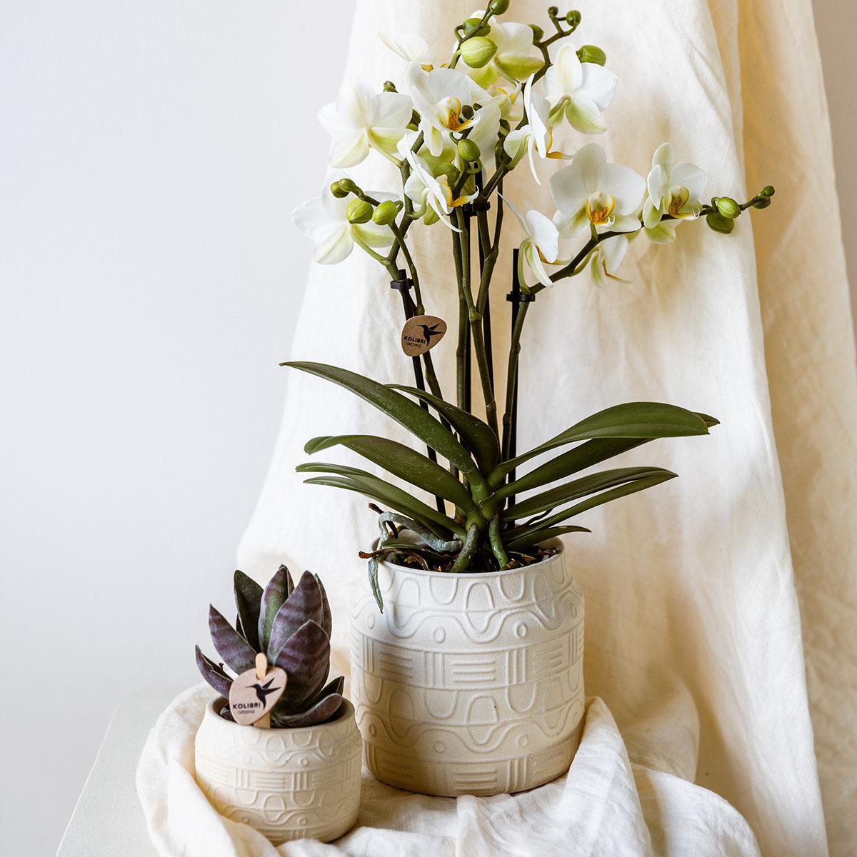 Hyroglyph Übertopf - Off White - Ø9cm