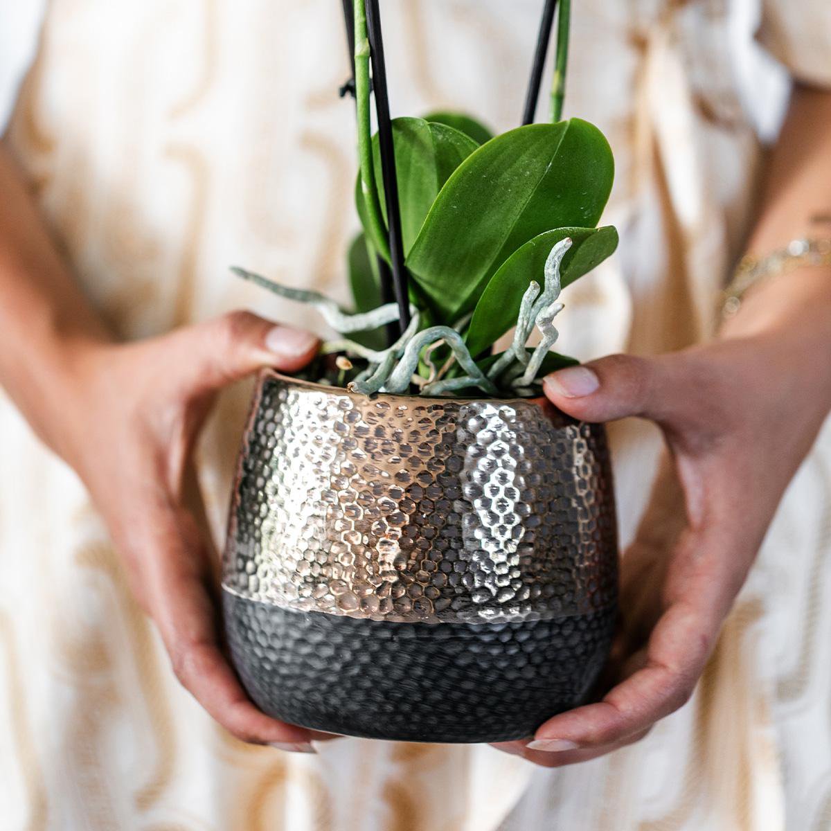 Übertopf aus Kupfer – Ø9cm