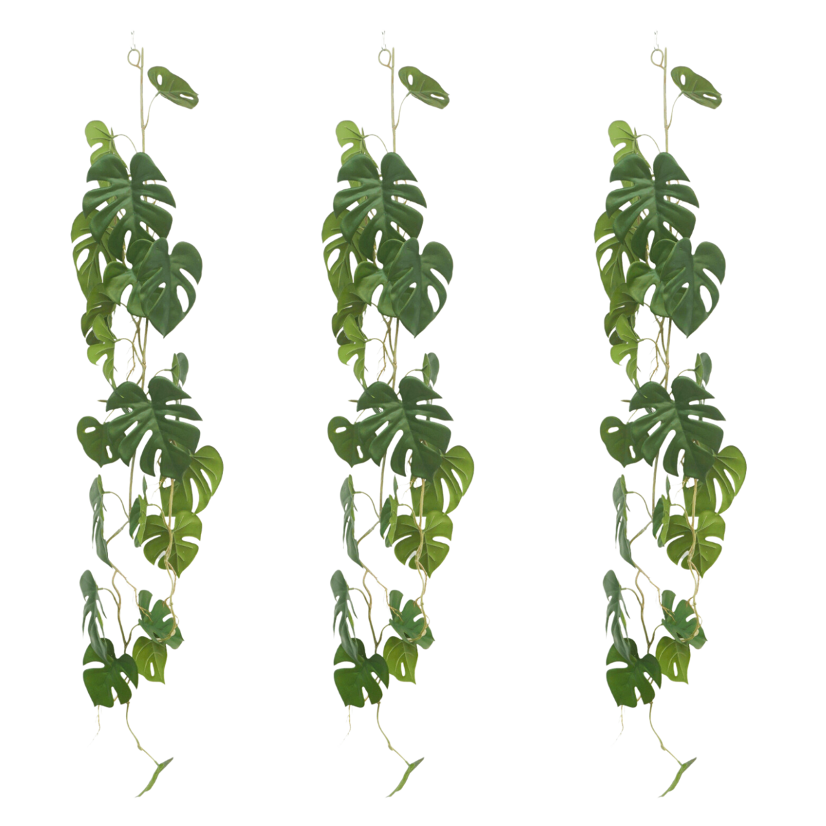 3 Stk. Künstliche Monstera-Girlande, 120 cm (Girlande) – Tannendiele  BlumenGut Düsseldorf