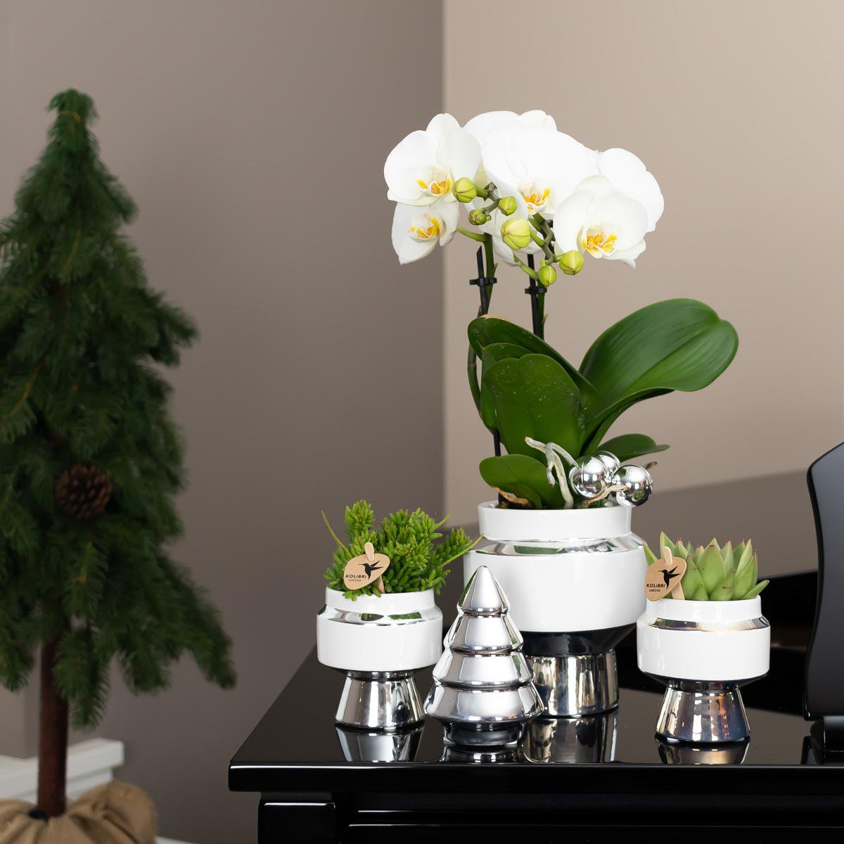 Le Chic Blumentopf – Weißer dekorativer Keramiktopf mit silbernen Details – Ø9 cm