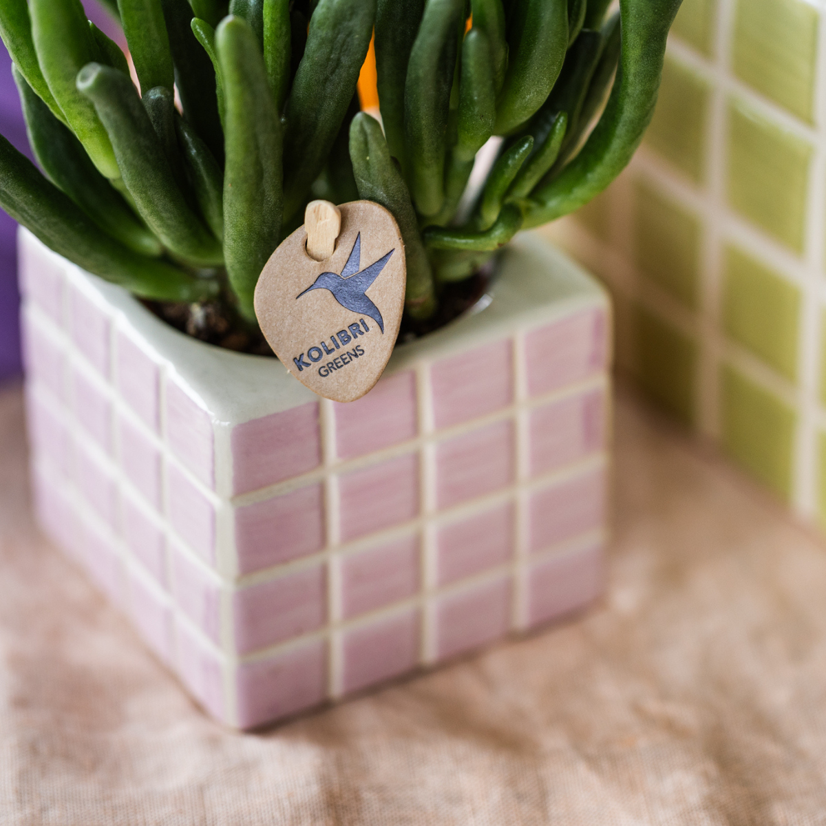 Übertopf „Mosa“ - Rosa - Ø6cm