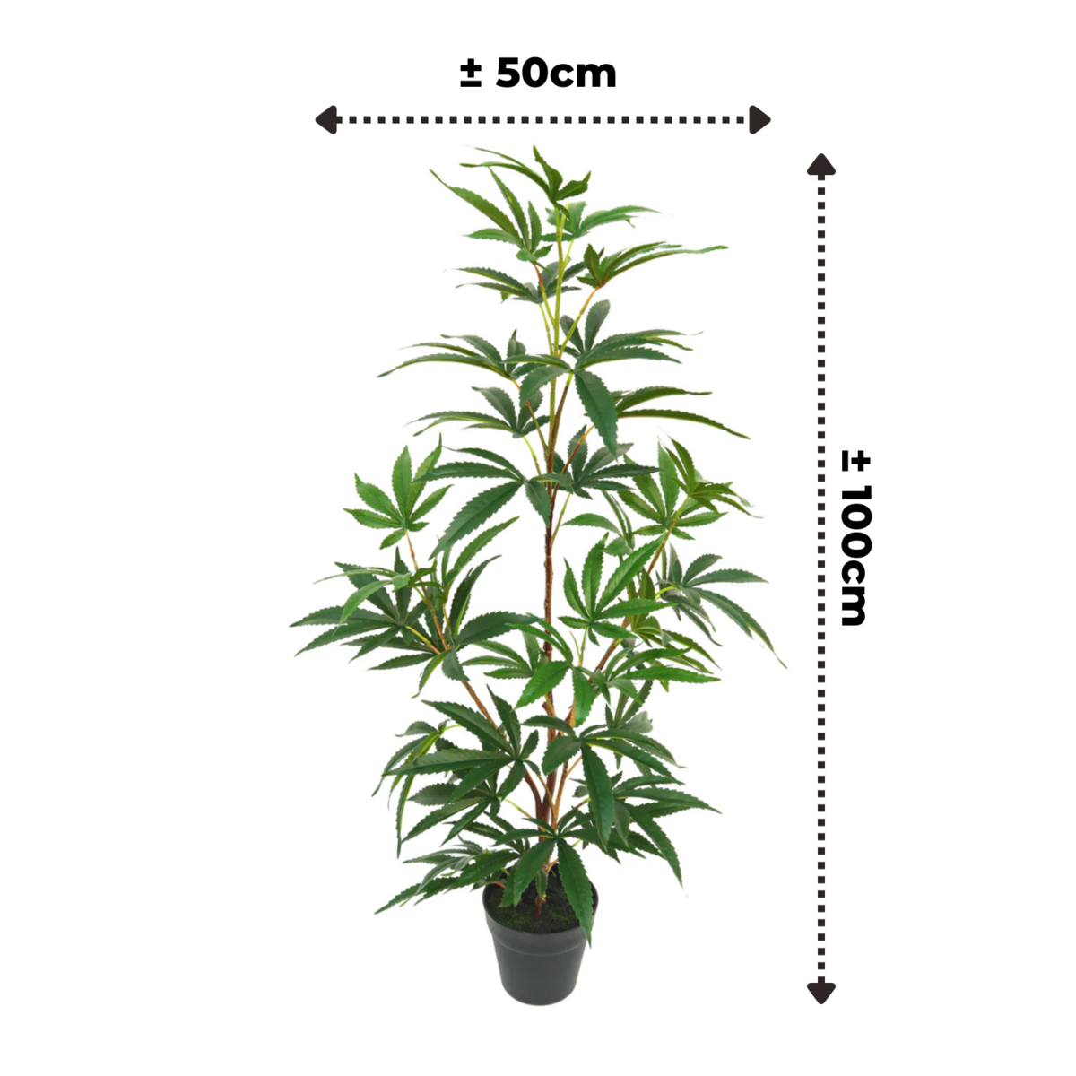 Aralie Kunstpflanze 100cm