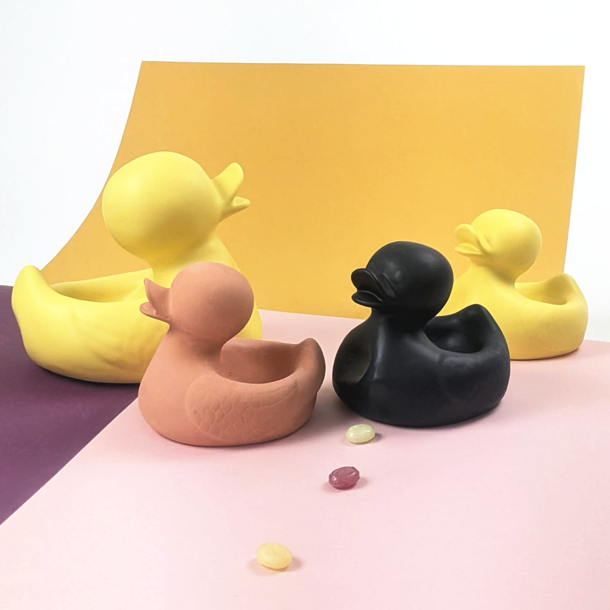 Herr. Hässliches Entlein klein und groß