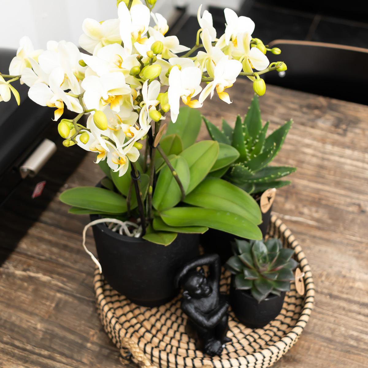 Dekorationsstatue Sitzender Affe - Schwarz