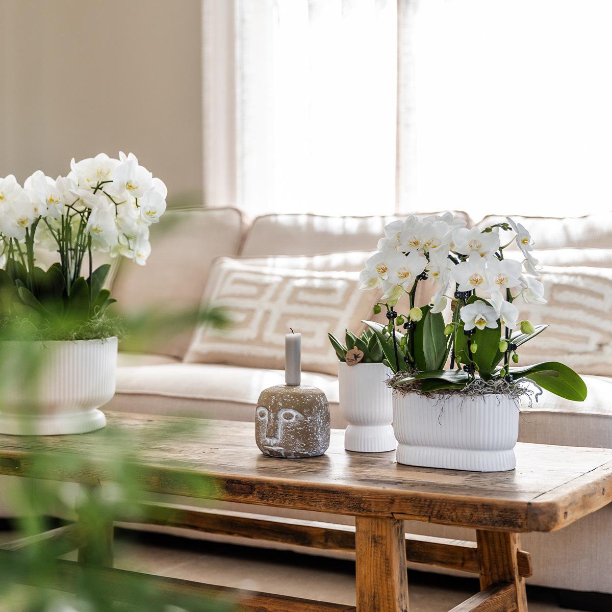 Übertopf „Diabolo“ weiß - Ø12cm