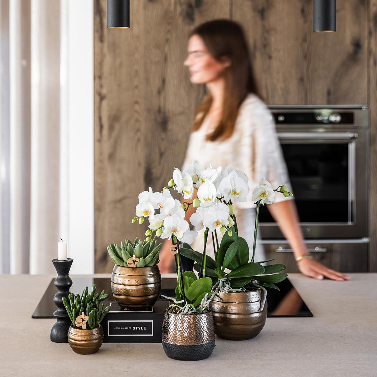 Übertopf aus Kupfer – Ø9cm