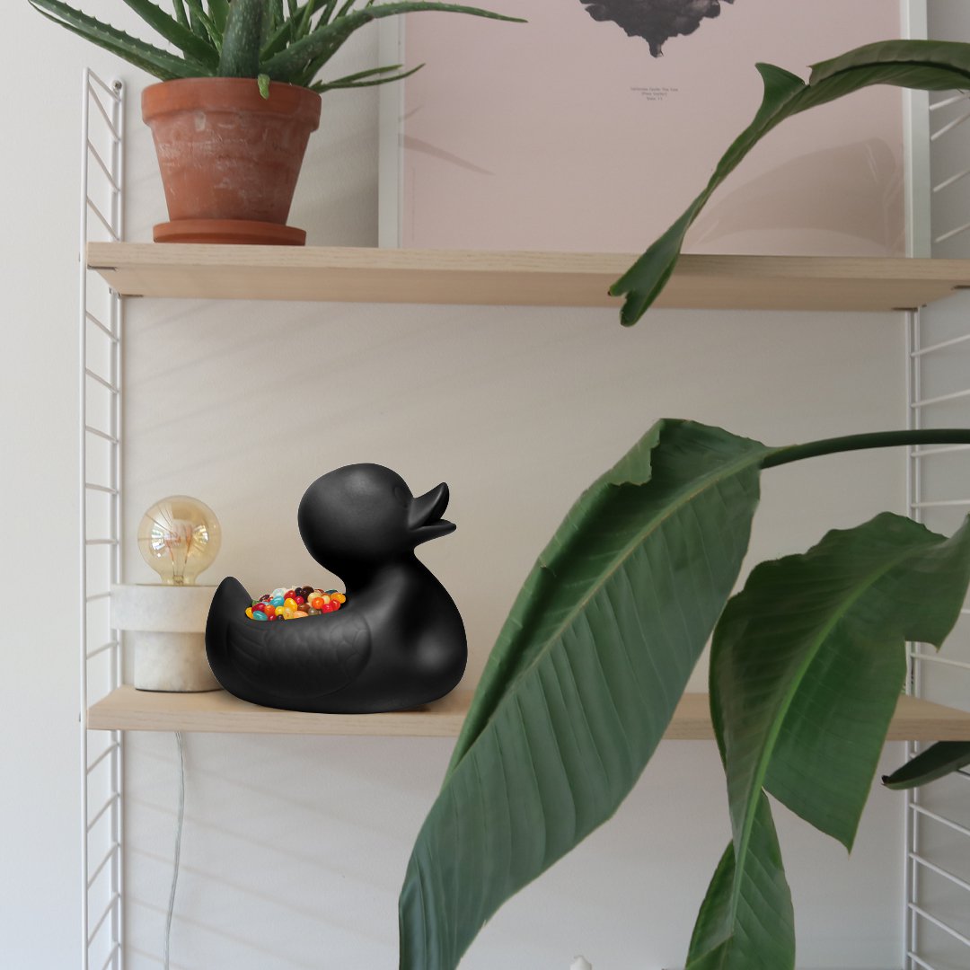 Herr. Hässliches Entlein klein und groß