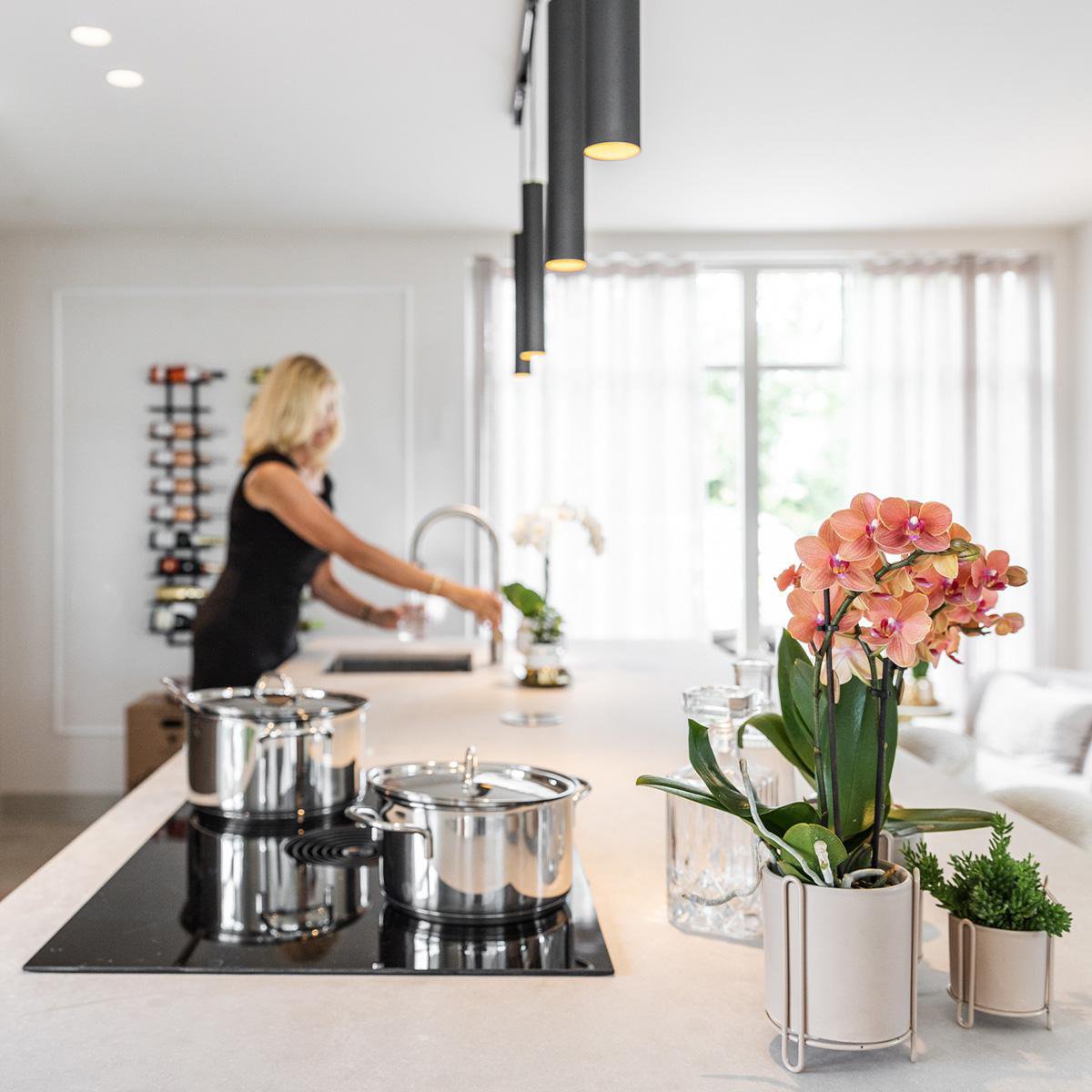 Deal von 2 orange Phalaenopsis Orchideen - Bolzano - Topfgröße Ø9cm Blüte Zimmerpflanze - frisch vom Züchter aus dem Züchter