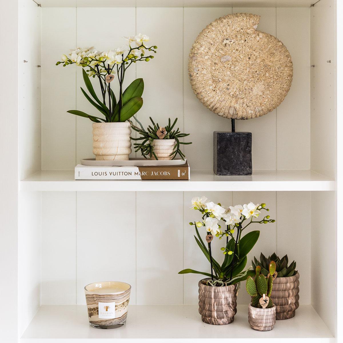 Marmortopf - Hell - Ø9cm