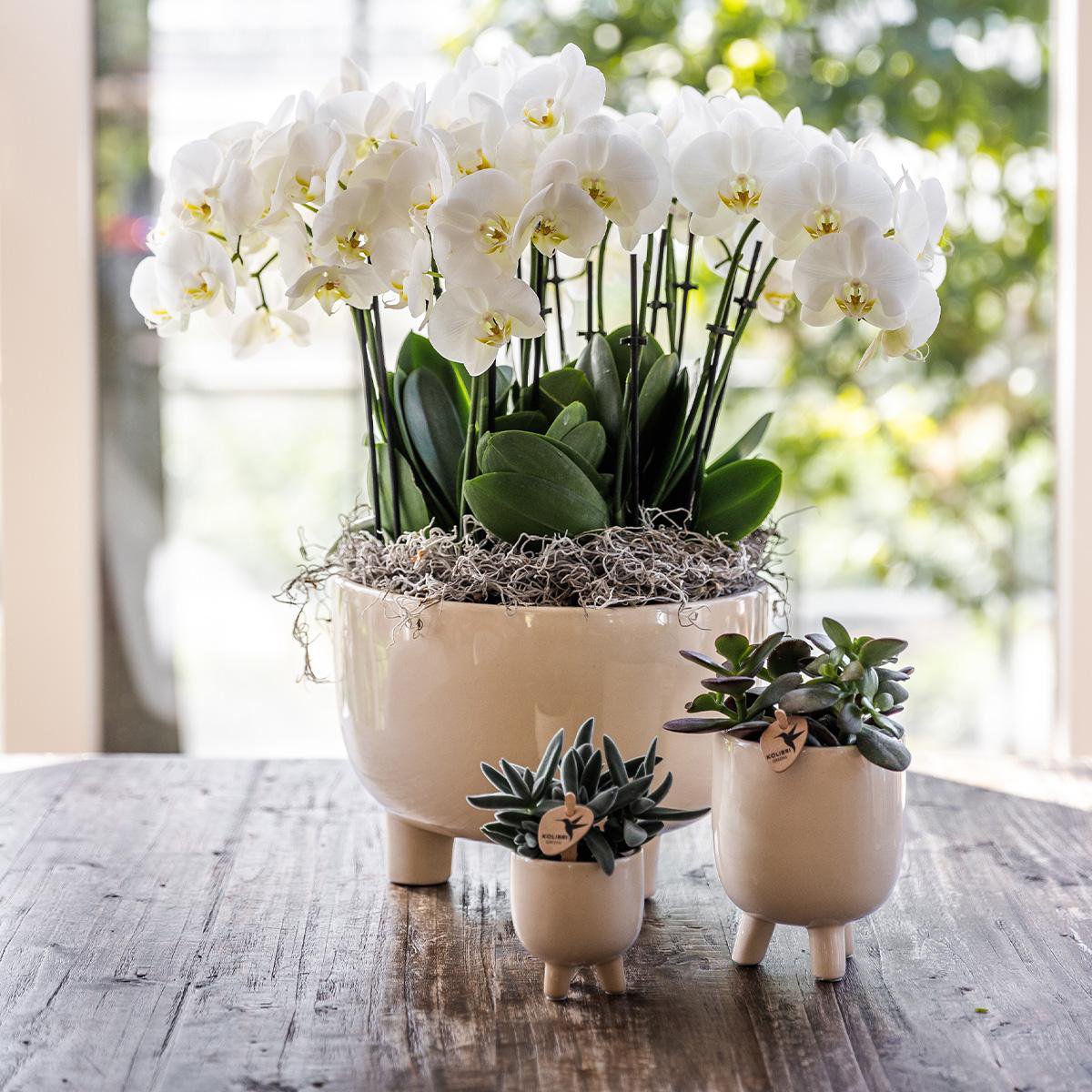 Gummitopf Travertin – Ø9cm