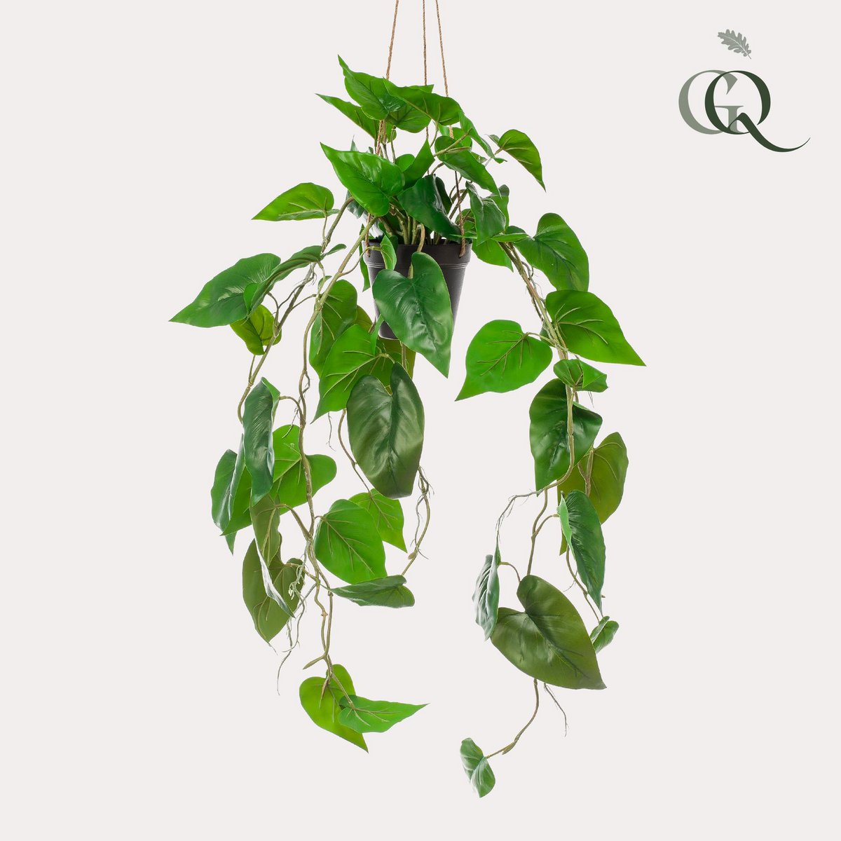 Kunstpflanze - Philodendron scandens - Climbing Tree Lover - 80 cm   Tannendiele BlumenGut Dsseldorf