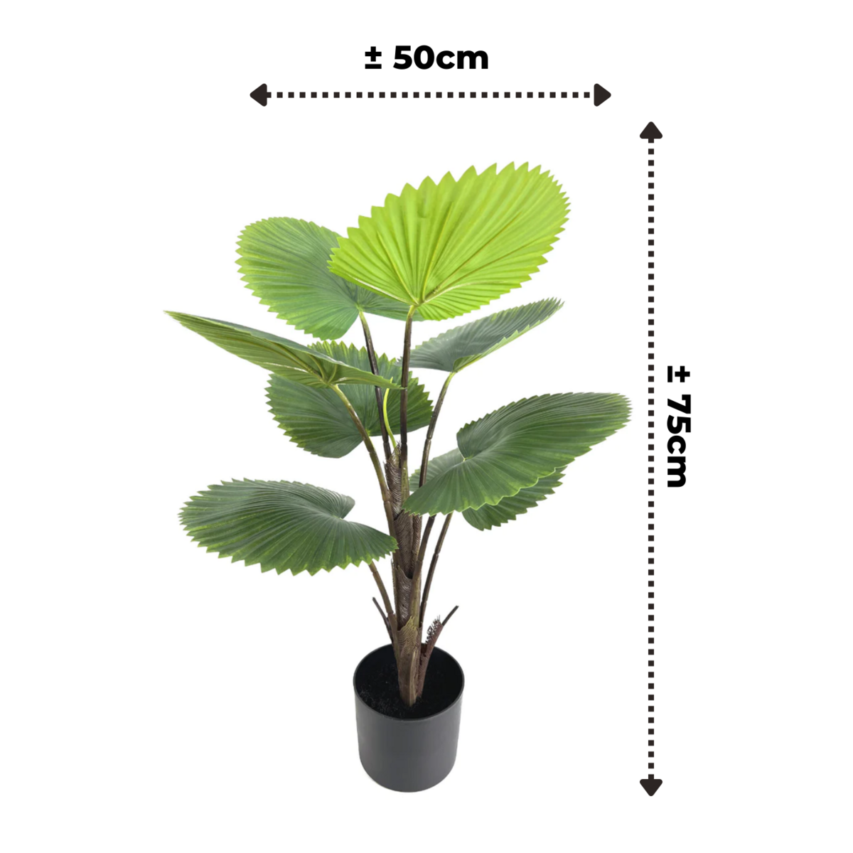 Künstliche Fächerpalme 75cm
