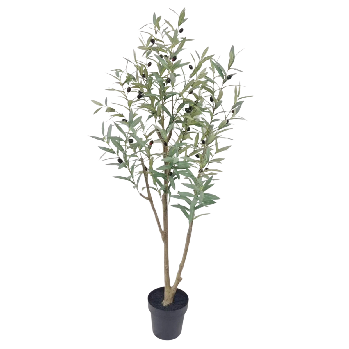 olivenbaum 150 jahre kosten Künstlicher Olivenbaum 150 cm – Tannendiele BlumenGut Düsseldorf