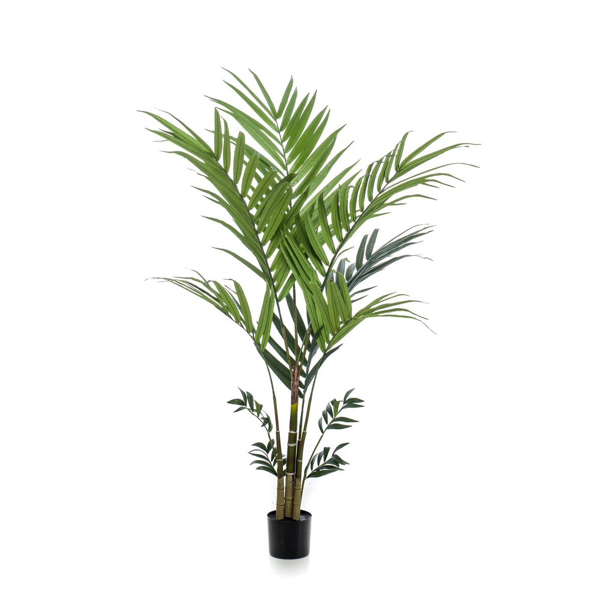 Künstliche Pflanze - Kentia - Kentiapalme - 180 cm