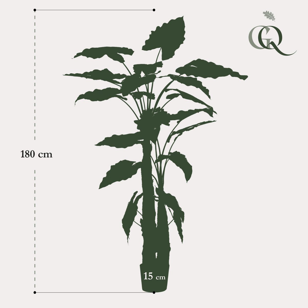 Künstliche Pflanze - Alocasia - Elefantenohr - 180 cm