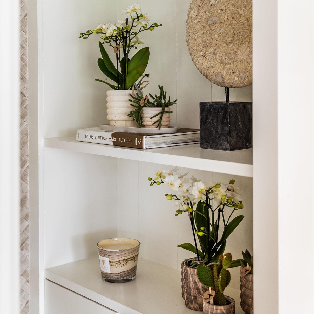 Marmortopf - Hell - Ø6cm