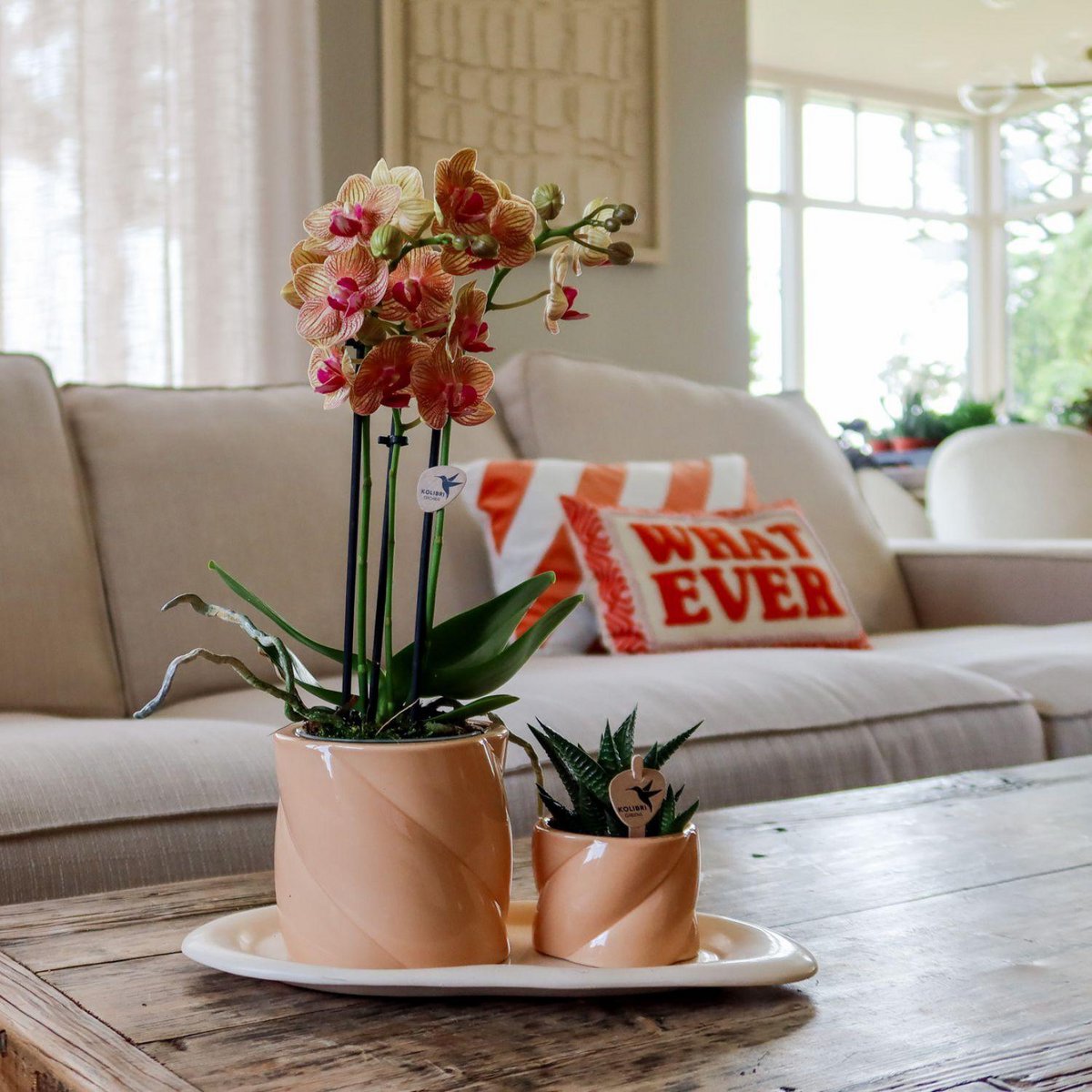 Candy Dekotopf - Pfirsich - Ø9cm