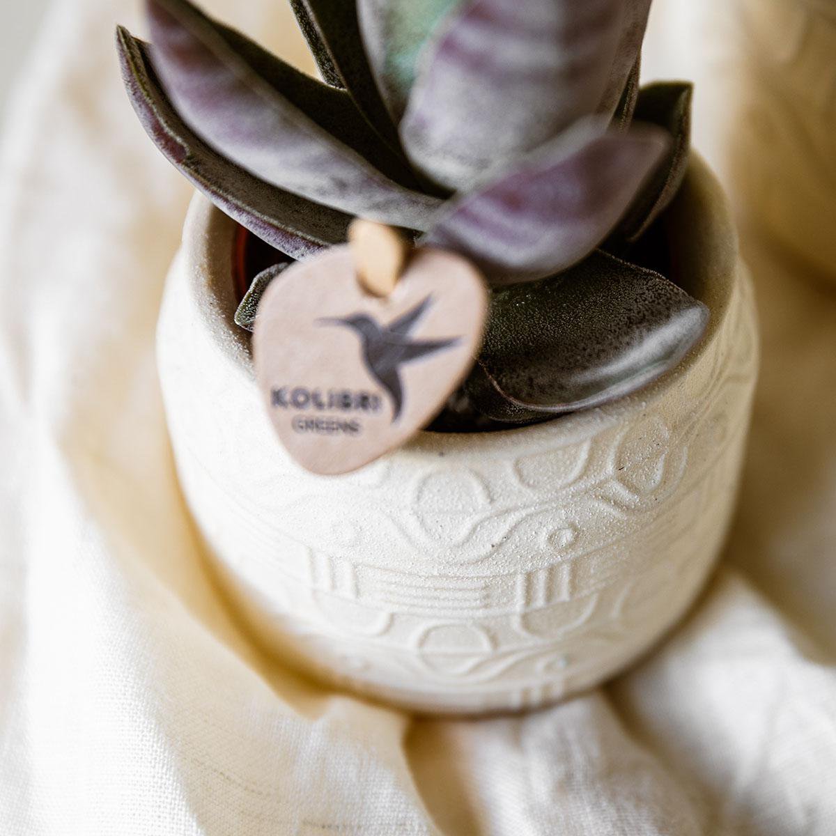 Übertopf Hyroglyph - Off White - Ø6cm