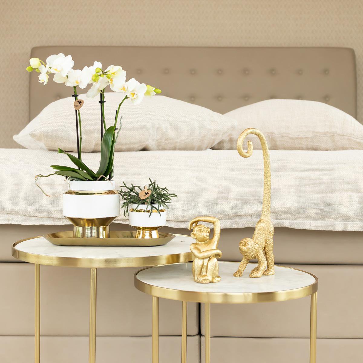 Teller oval - Ovale dienblad Ø30cm - Gold