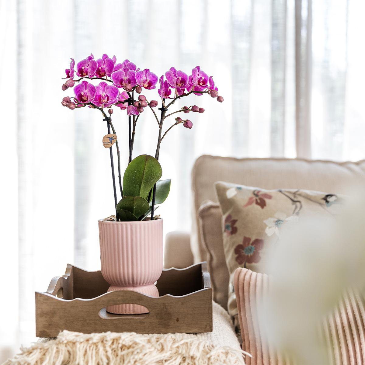 Übertopf „Diabolo“ -Topf rosa - Ø12cm