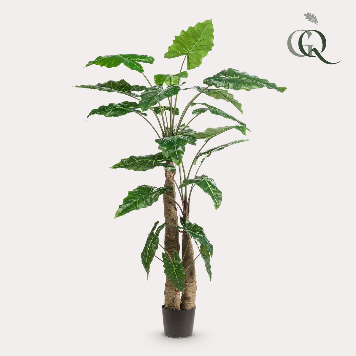 Künstliche Pflanze - Alocasia - Elefantenohr