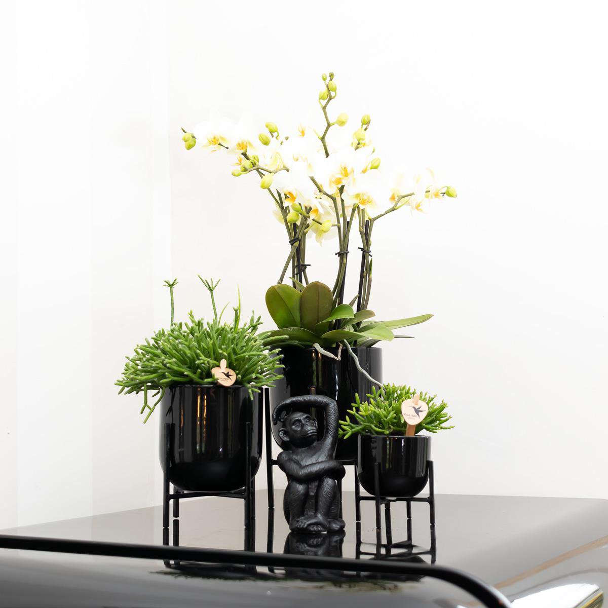 Dekorationsstatue Sitzender Affe - Schwarz