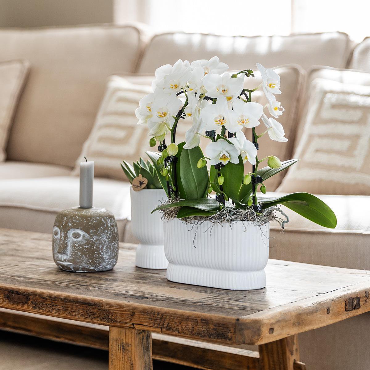 Übertopf „Diabolo“ -Topf weiß - Ø6cm