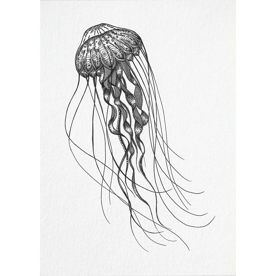 Postkarten – 5er-Set – Meerestiere