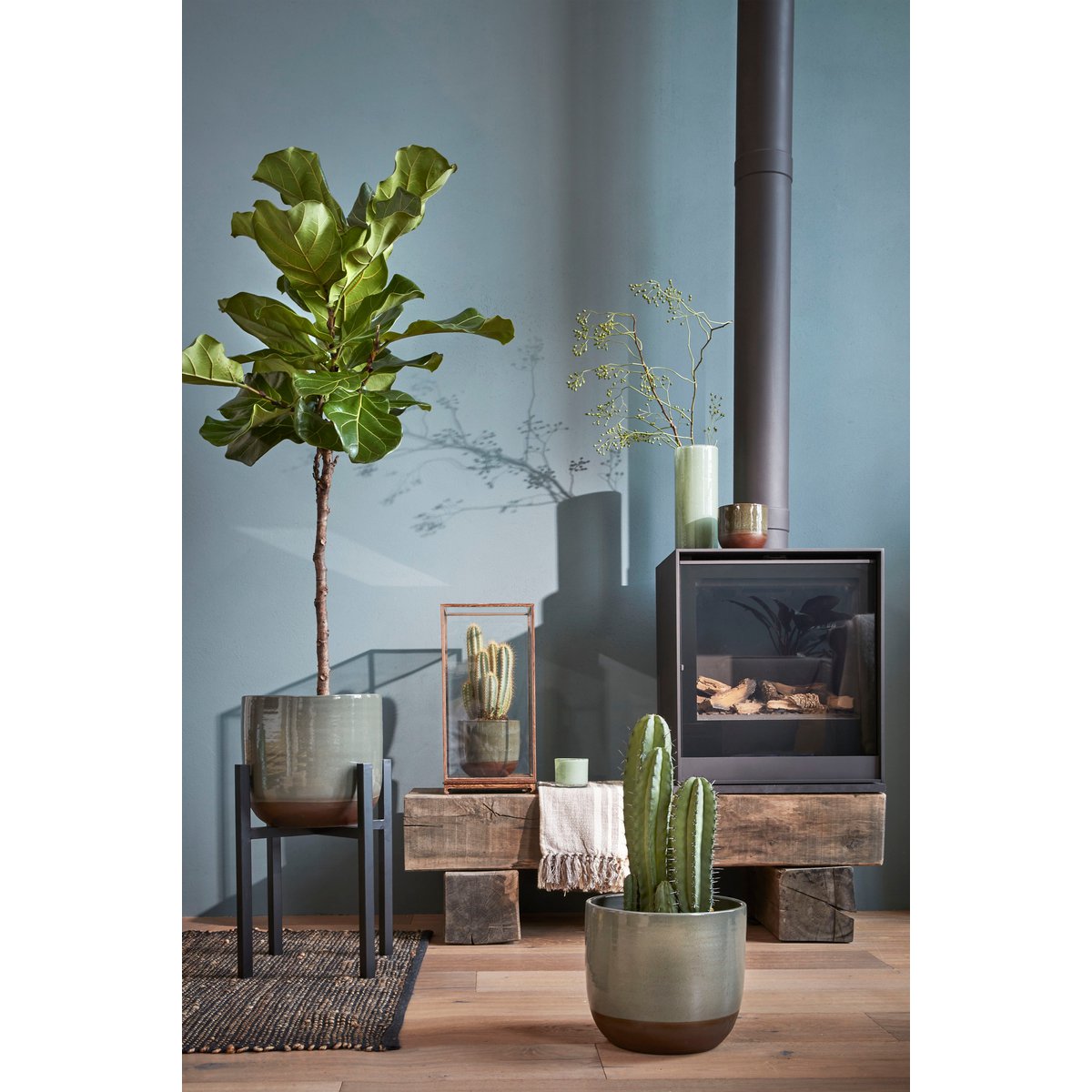 Ascot Pflanzenständer XL – L34 x B34 x H50 cm – Metall – Schwarz