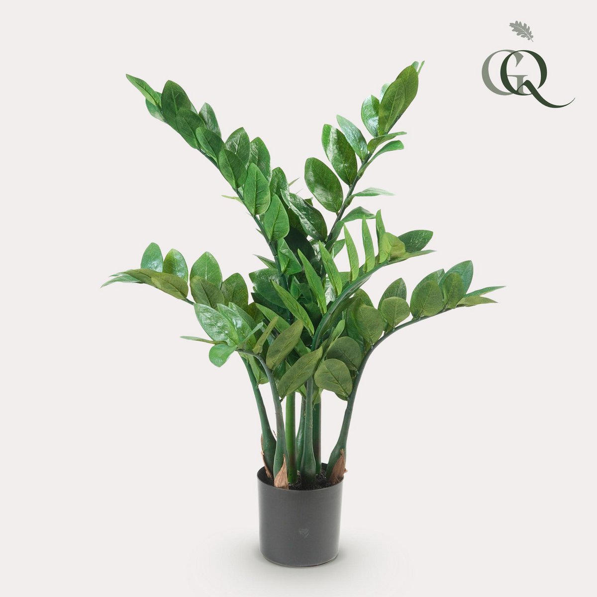 Künstliche Pflanze - Zamioculcas - Stadtpalme - 70 cm