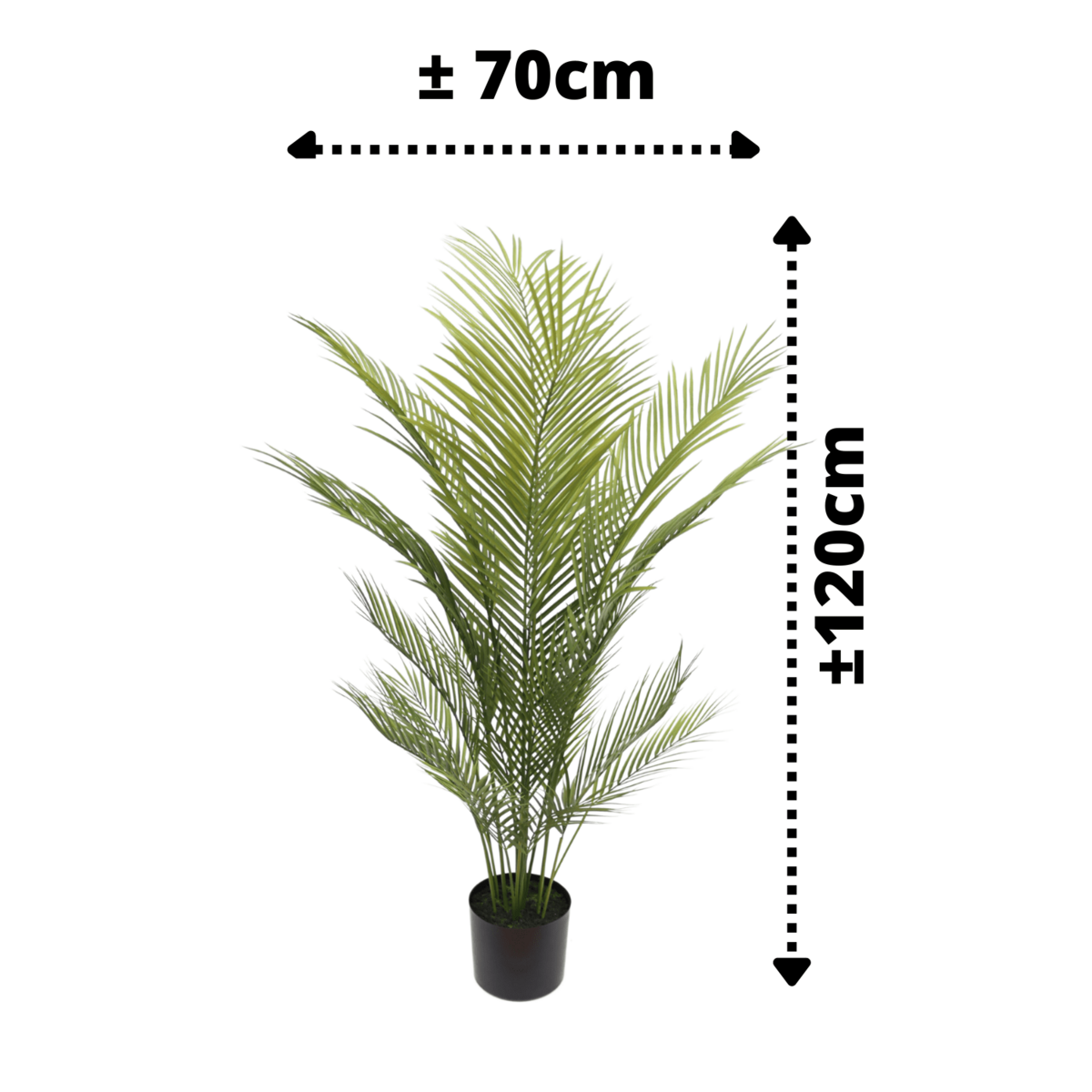 Künstliche Palme 120cm – Tannendiele BlumenGut Düsseldorf