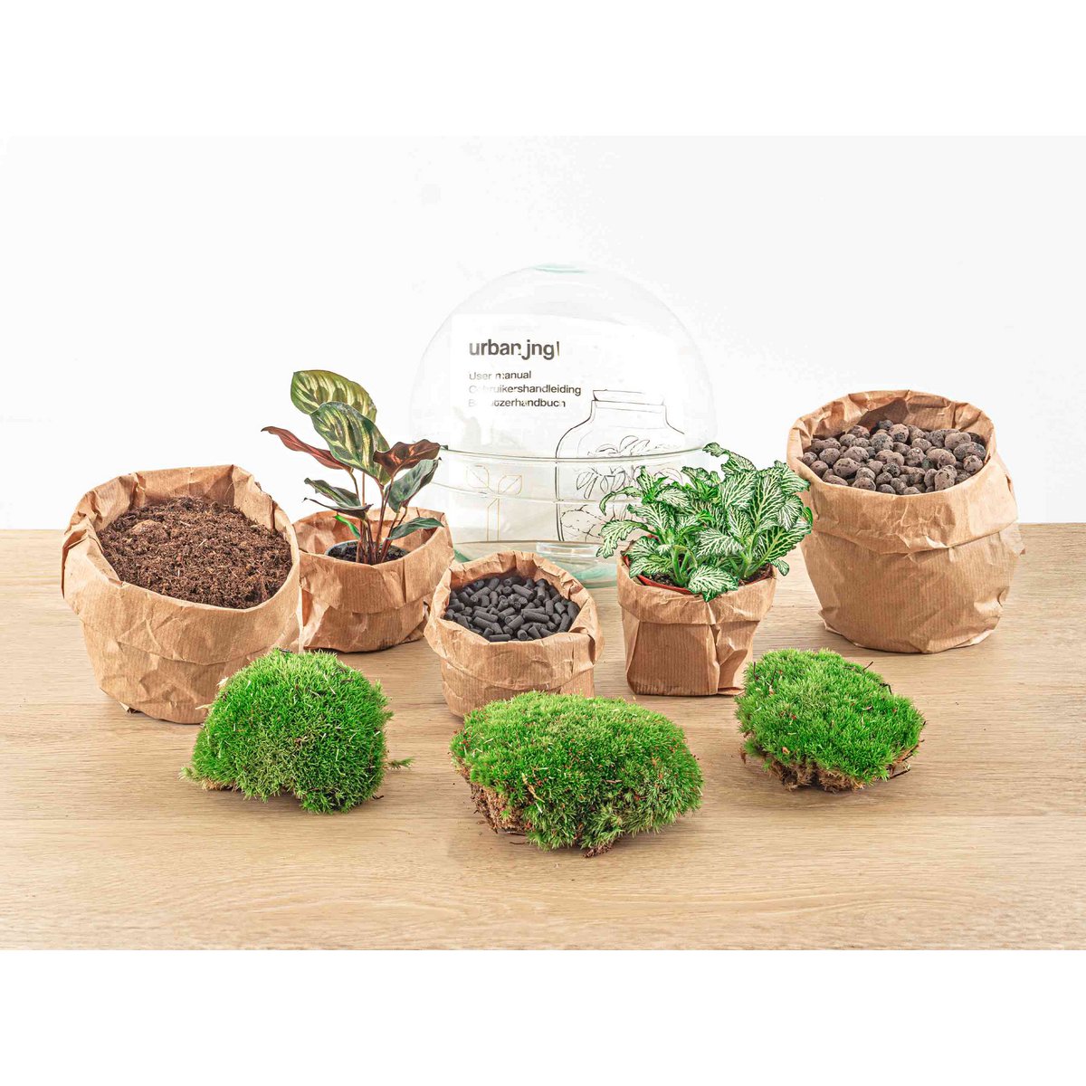 Terrarium-Bausatz – Kuppel – Flaschengarten – ↑ 20 cm