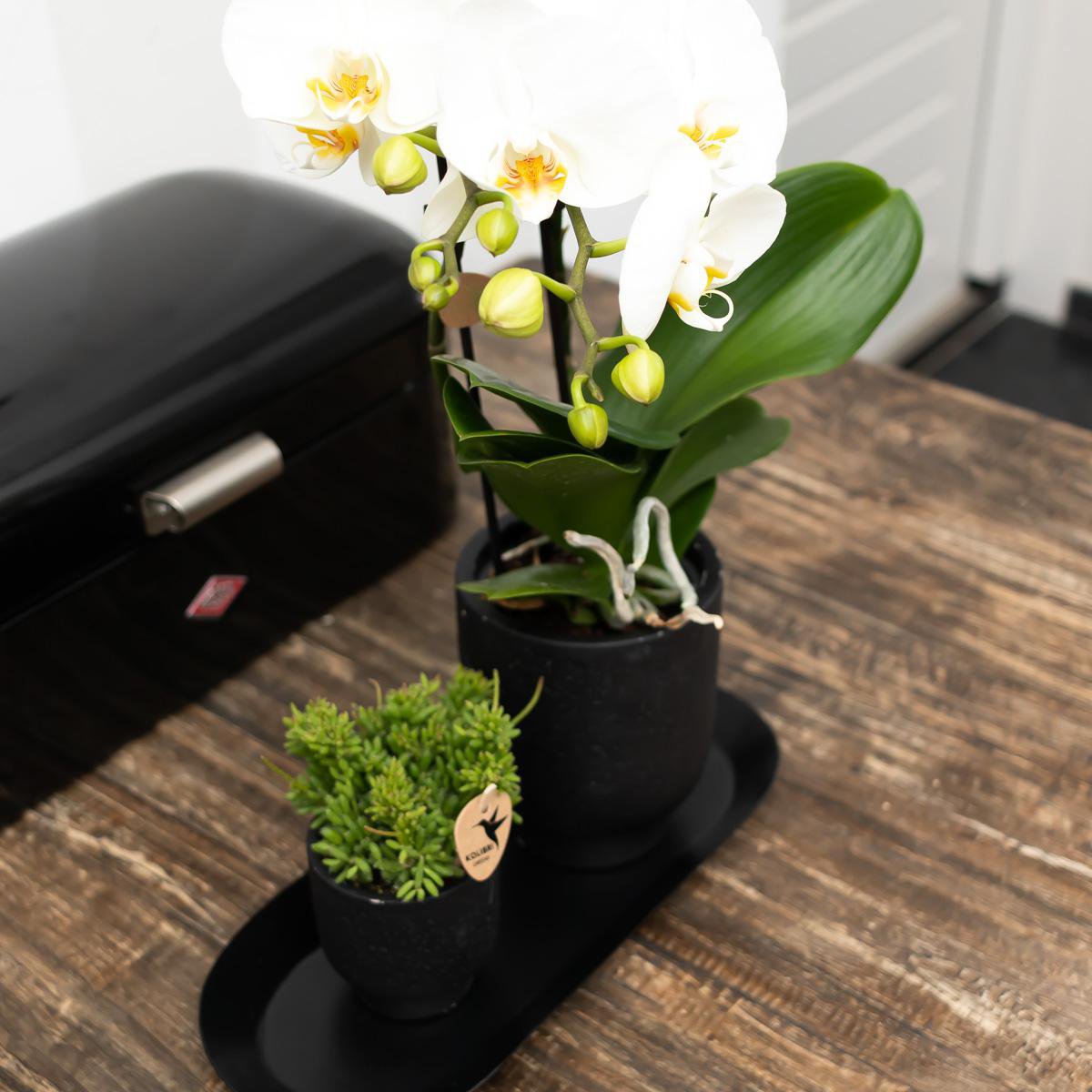 Teller oval - Ovale dienblad Ø30cm - Schwarz