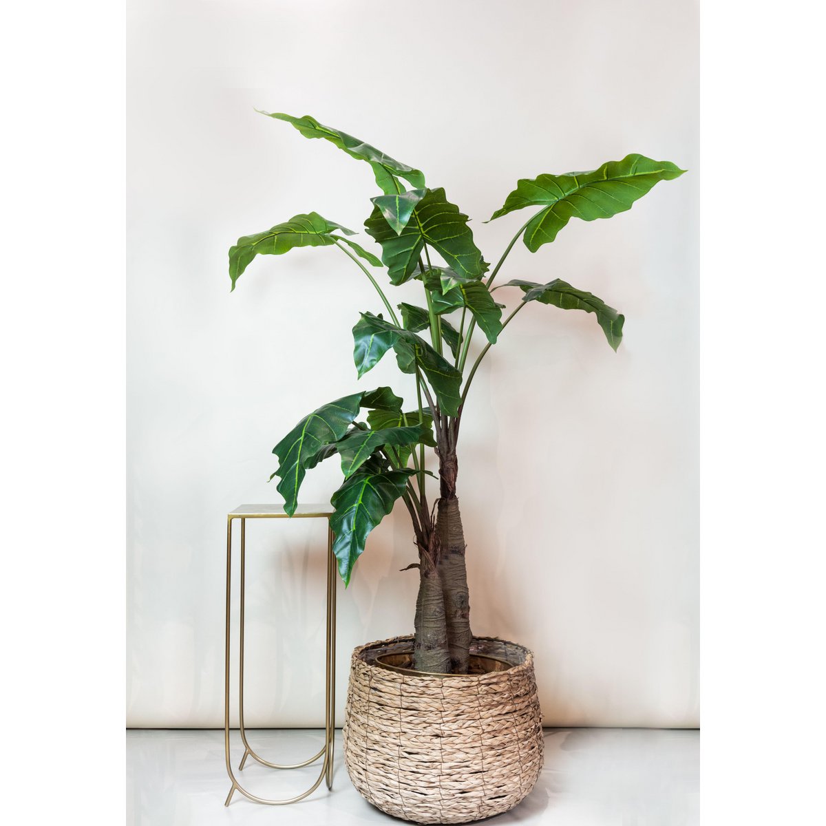 Künstliche Pflanze - Alocasia - Elefantenohr - 180 cm