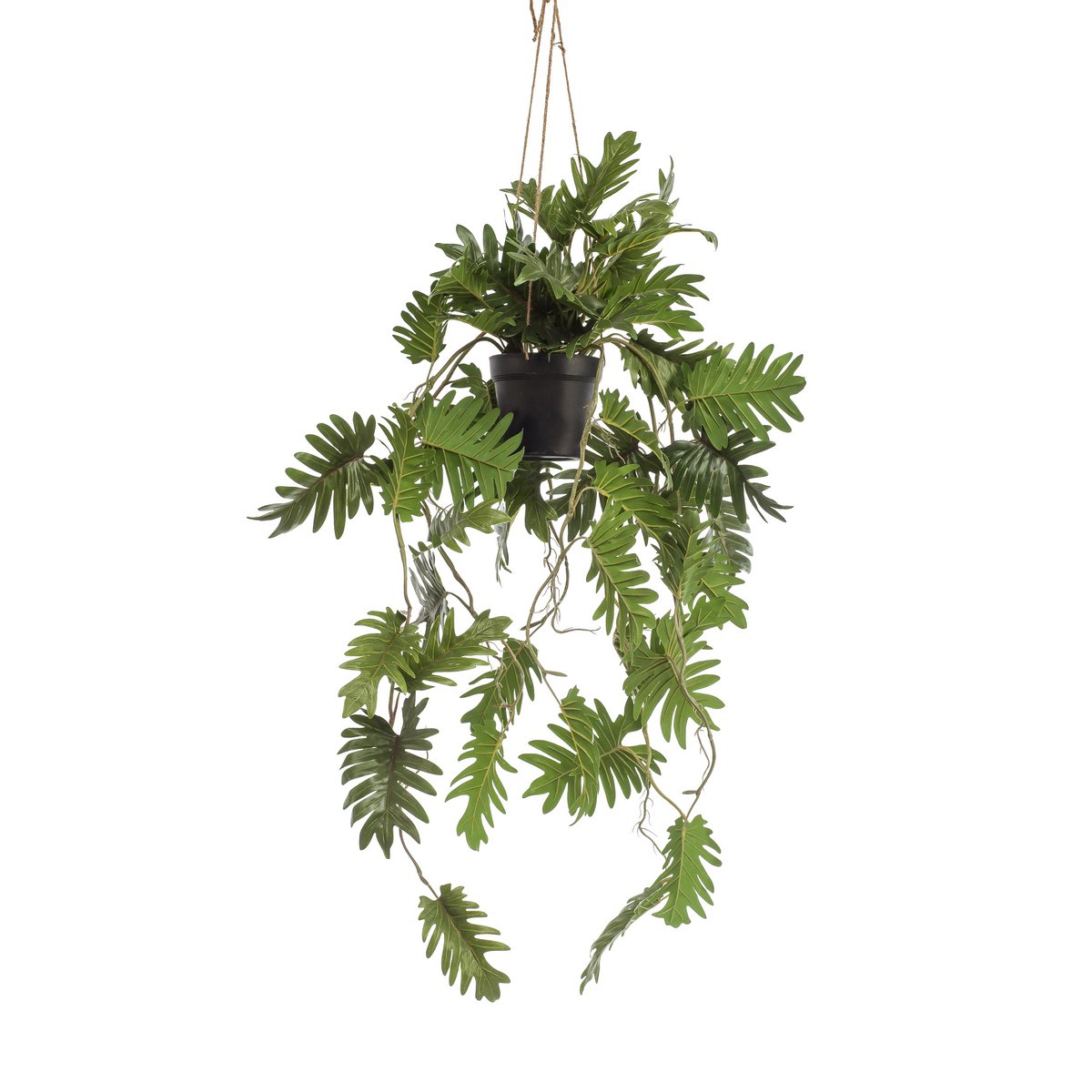 Kunstpflanze - Philodendron - Kletterbaumliebhaber - 80 cm
