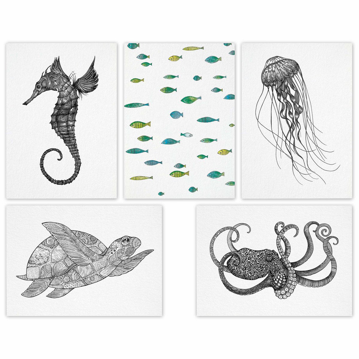 Postkarten – 5er-Set – Meerestiere